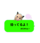 吹き出しどんべぇ（個別スタンプ：22）