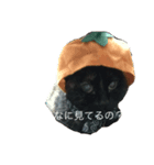 ☆ジジちゃん☆（個別スタンプ：5）
