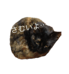☆ジジちゃん☆（個別スタンプ：8）