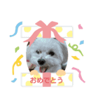 うずあず（個別スタンプ：7）