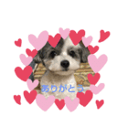 うずあずNo2（個別スタンプ：5）