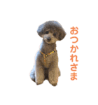 じろくんちゃん（個別スタンプ：1）