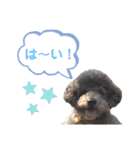 じろくんちゃん（個別スタンプ：5）
