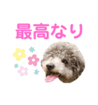 じろくんちゃん（個別スタンプ：6）