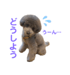 じろくんちゃん（個別スタンプ：8）