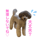 じろくんちゃん（個別スタンプ：13）