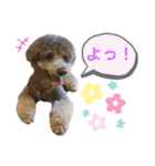 じろくんちゃん（個別スタンプ：14）