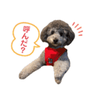 じろくんちゃん（個別スタンプ：19）