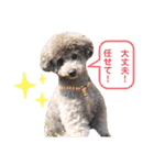 じろくんちゃん（個別スタンプ：25）
