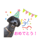 じろくんちゃん（個別スタンプ：30）