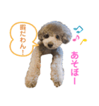 じろくんちゃん（個別スタンプ：32）