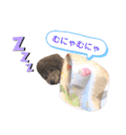 じろくんちゃん（個別スタンプ：36）