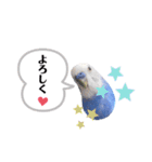 セキセイインコ ピピ（個別スタンプ：6）