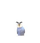 セキセイインコ ピピ（個別スタンプ：16）
