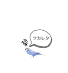 セキセイインコ ピピ（個別スタンプ：22）