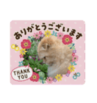わかちゃんとふくちゃん2（個別スタンプ：4）