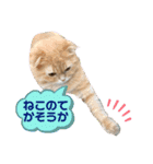 わかちゃんとふくちゃん2（個別スタンプ：16）