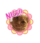 あずきの気持ち♡2（個別スタンプ：7）