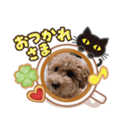 トイプーショコロン2（個別スタンプ：6）