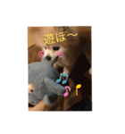 ポメラニアンのコメちゃん（個別スタンプ：14）