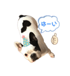我が家のハルちゃんスタンプ（個別スタンプ：16）