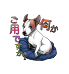ジャックラッセルテリアのマリリン（個別スタンプ：1）