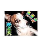 ジャックラッセルテリアのマリリン（個別スタンプ：6）