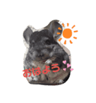 キャンちゃんファミリー（個別スタンプ：2）