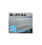 全然話を聞いてくれない動物たち（個別スタンプ：8）