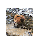 ちゃーちゃん！！！（個別スタンプ：2）