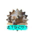 ちゃーちゃん！！！（個別スタンプ：5）