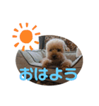 ごろ太のスタンプ（個別スタンプ：3）