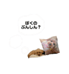 ごろ太のスタンプ（個別スタンプ：18）