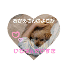 ごろ太のスタンプ（個別スタンプ：24）