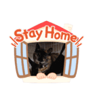 猫deご挨拶（個別スタンプ：7）