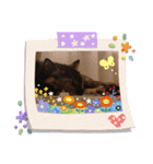 猫deご挨拶（個別スタンプ：8）