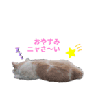 ニケの日常（個別スタンプ：2）