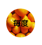 MIKAN様様（個別スタンプ：5）