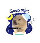 愛犬ポコの日常スタンプ（個別スタンプ：4）