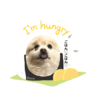 愛犬ポコの日常スタンプ（個別スタンプ：7）