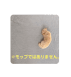 ペキプー蒼汰の万能スタンプ（個別スタンプ：7）