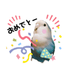 コザクラインコの空ちゃん with lovers（個別スタンプ：3）