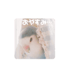 コザクラインコの空ちゃん with lovers（個別スタンプ：11）
