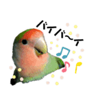 コザクラインコの空ちゃん with lovers（個別スタンプ：15）