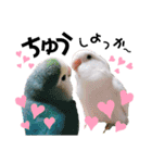 コザクラインコの空ちゃん with lovers（個別スタンプ：22）