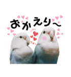 コザクラインコの空ちゃん with lovers（個別スタンプ：24）