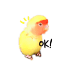 もちもちすた（個別スタンプ：2）