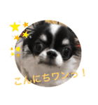 くぅちゃんライフ♪（個別スタンプ：1）