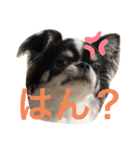 くぅちゃんライフ♪（個別スタンプ：8）