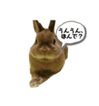 関西弁のチャチャ（個別スタンプ：6）